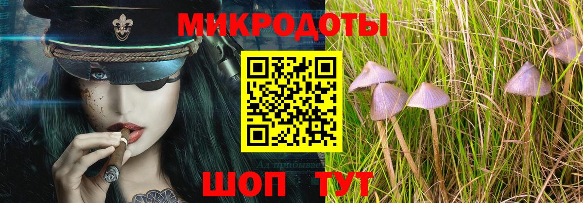 Псилоцибиновые грибы Cubensis  Галлюциногенные грибы GOLDEN TEACHER  Кулебаки  Вход с VPN 